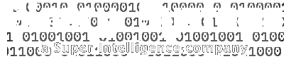 Binary Systems, a Super Intelligence company