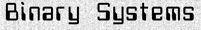 Binary Systems, Inc.